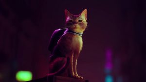 stray-ps5-release-set-to-arrive-in-october-2021